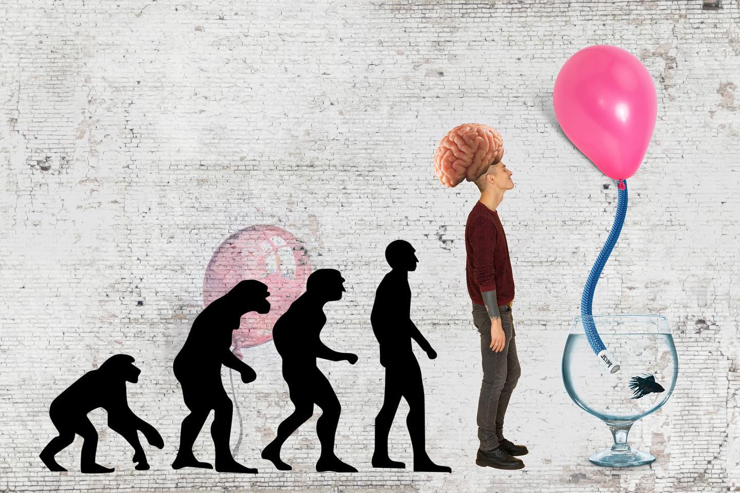 Evolution or innovation in creativity