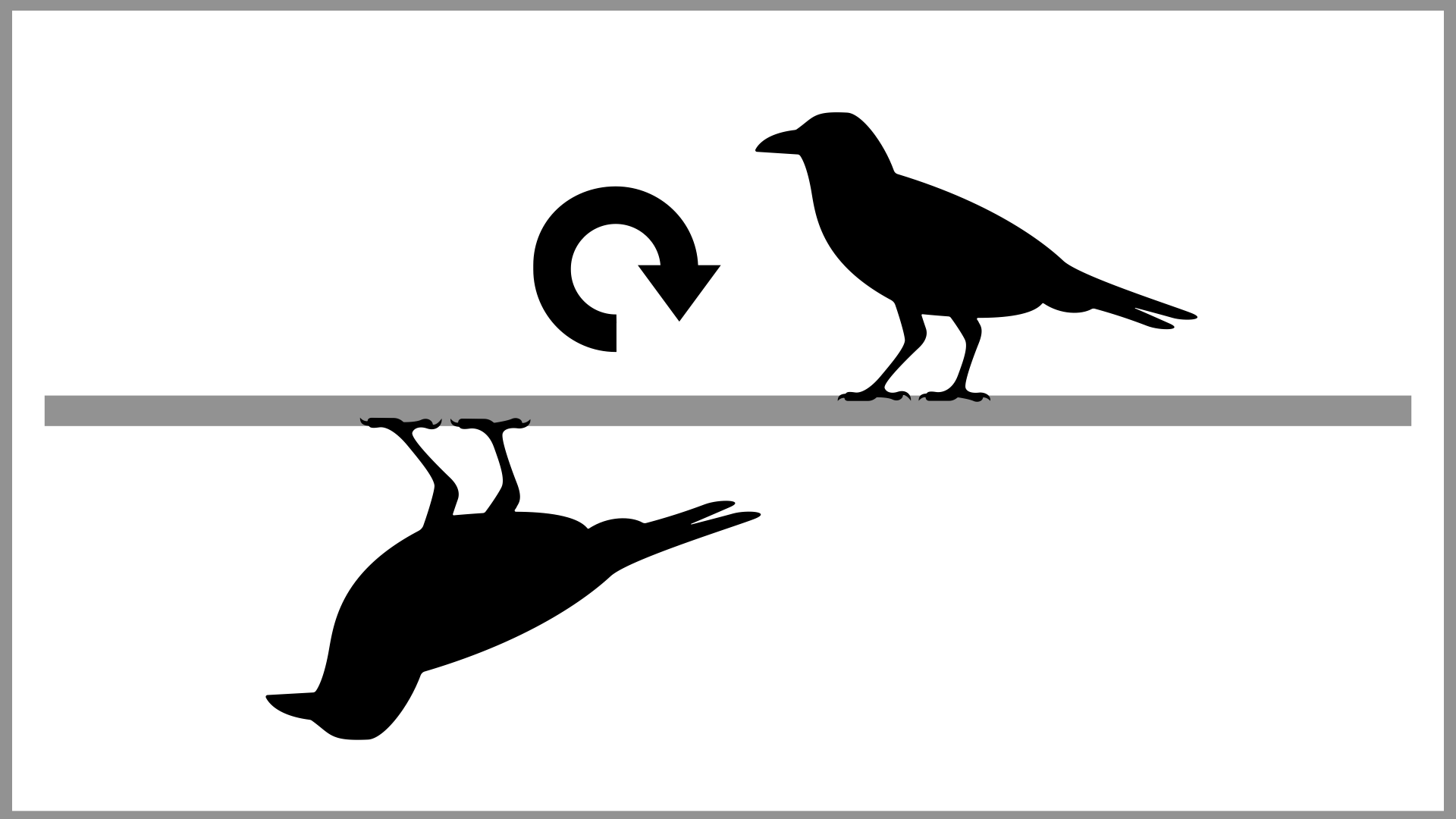 How crows play